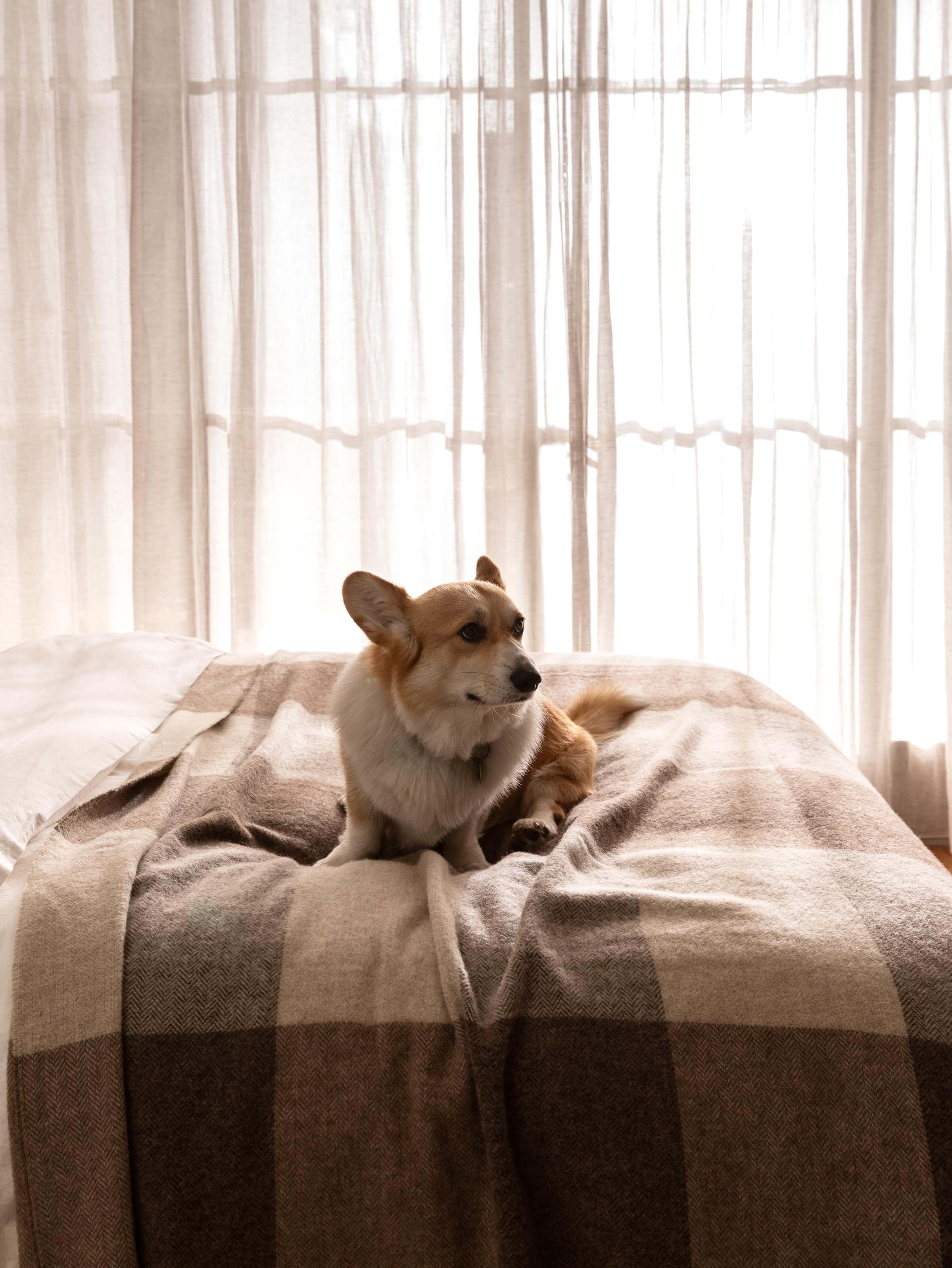 A close up image of our 100% Australian Wool 400gsm Chocolate Alby Blanket and Cushion