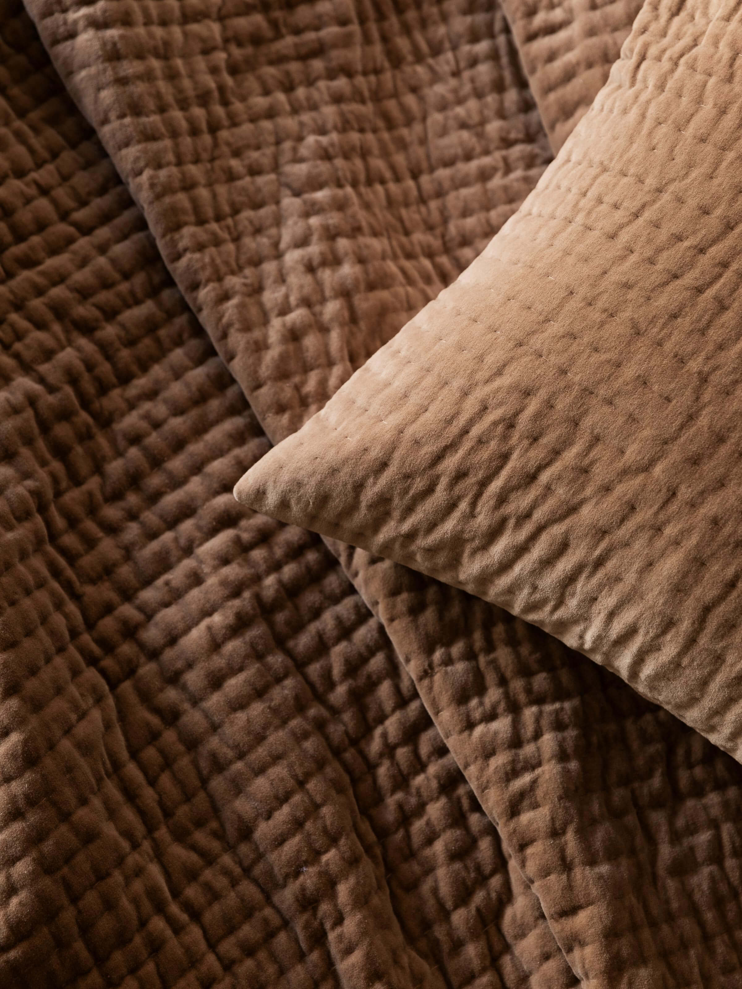 Cino Cacao Cotton Velvet Pillowcases