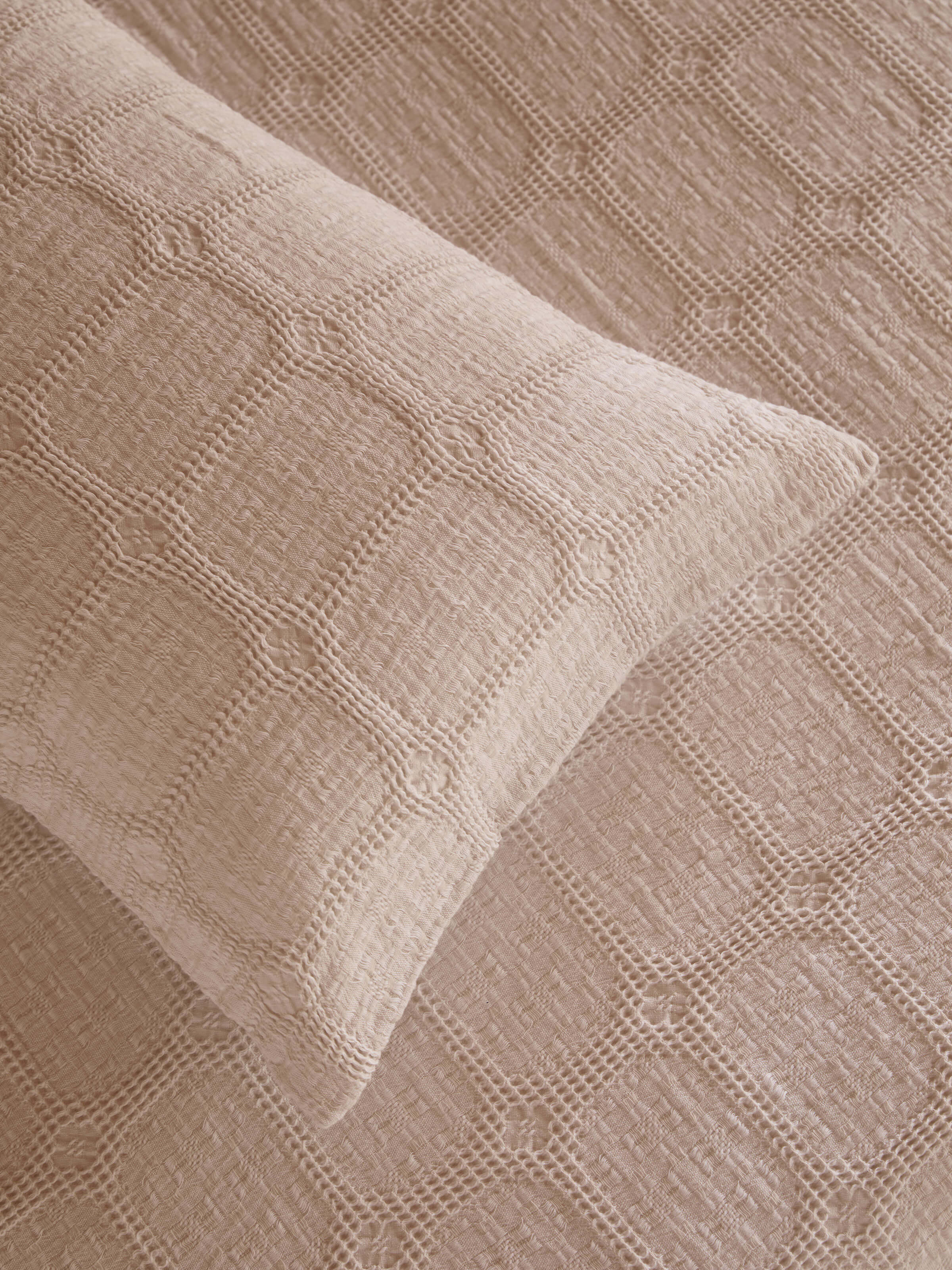 Sofia Nougat Pure Cotton Pillowcases