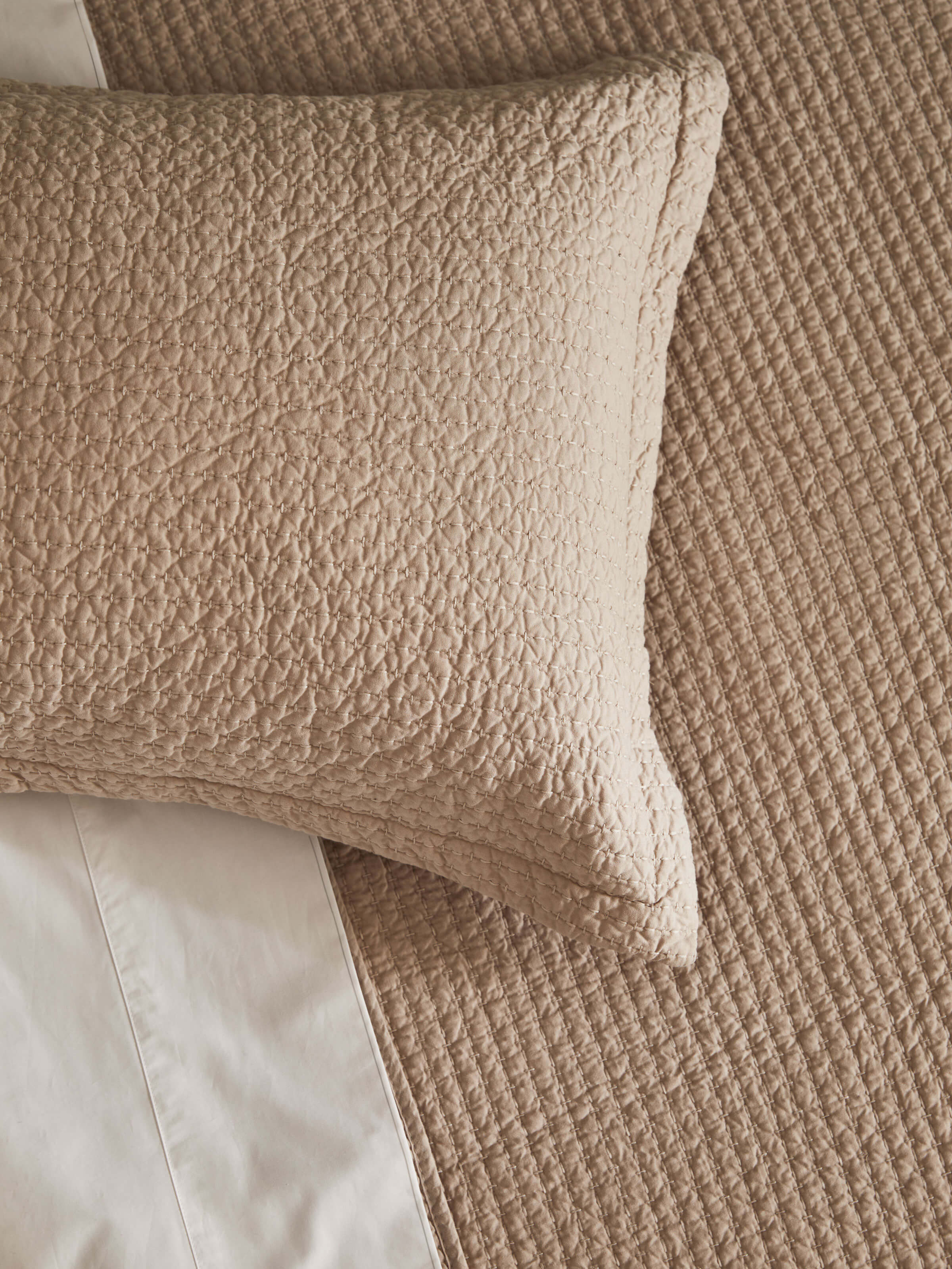 Studio Pure Cotton Sheets