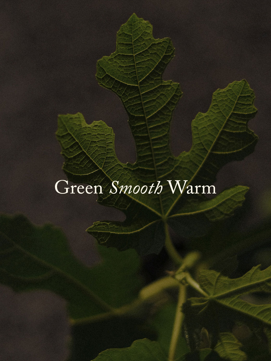 Posie DEI: Fig Leaf / Gardenia / Coconut Candle 300g