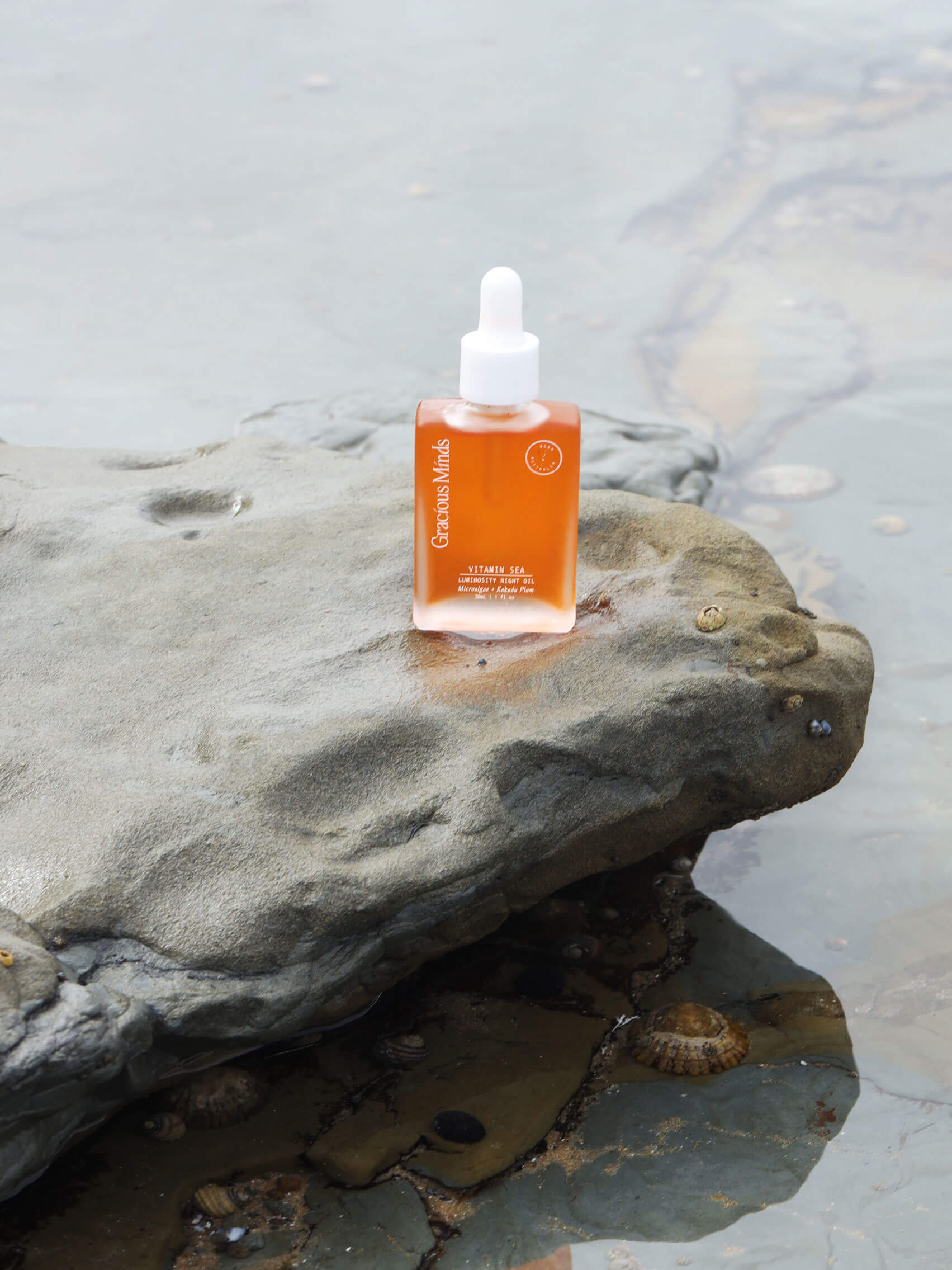 Gracious Minds - Vitamin Sea Luminosity Night Oil